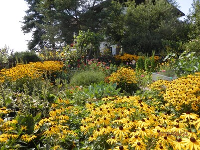 Bucherhof idyllic single location near the forest with its own lake, pure nature.