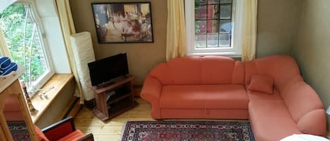 Televisor intel·ligent, reproductor de DVD, llibres i videoteca