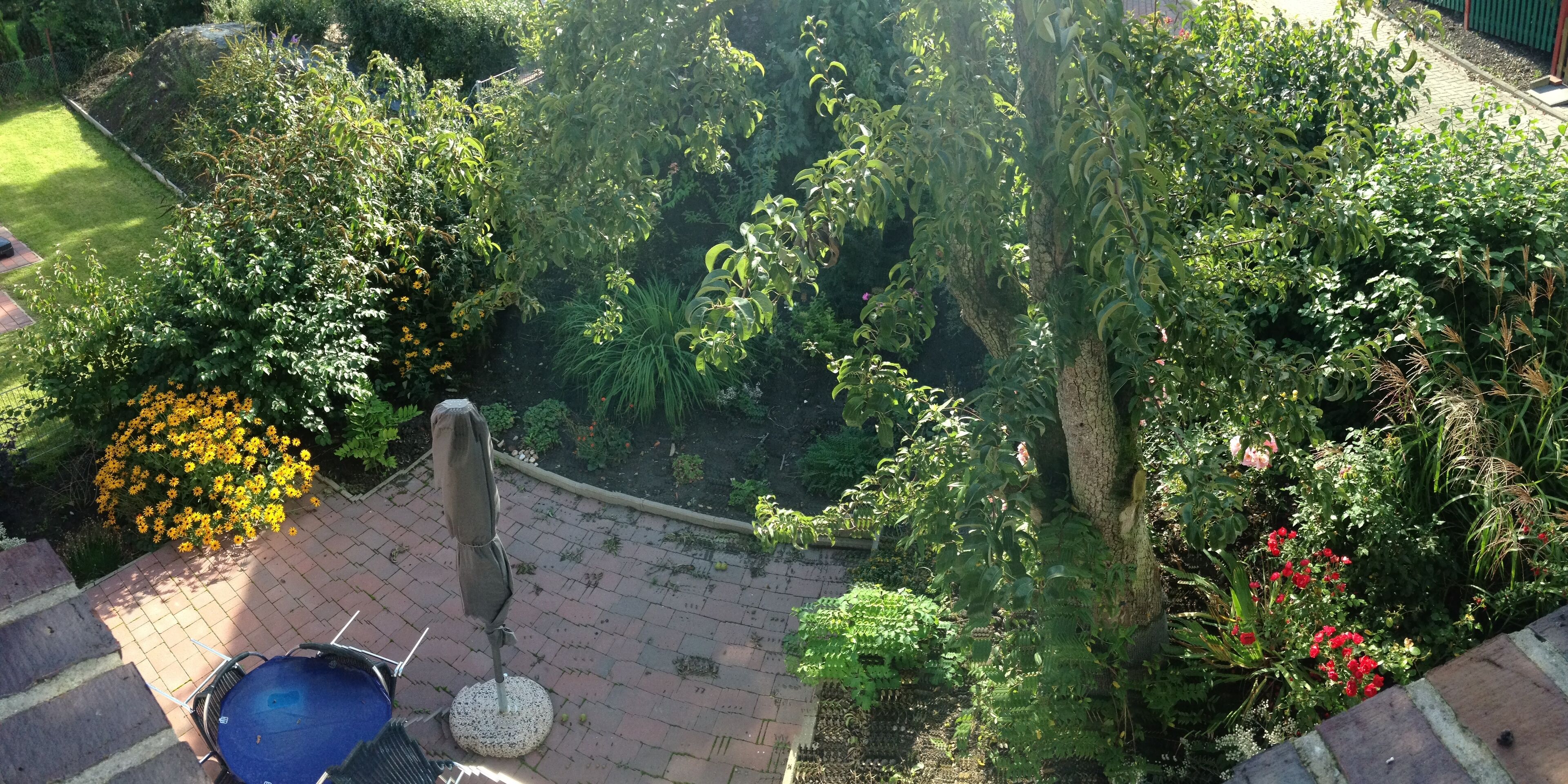 A rooftop garden with a patio area, a small pool, and various plants and flowers.
