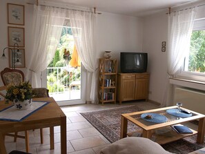 Televisor, llibres i estèreo 