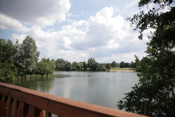 A lake surrounded by trees and a wooden deck.