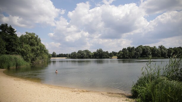 Une plage de sable bordée d’un lac paisible, le tout entouré d’une végétation luxuriante et d’arbres.
