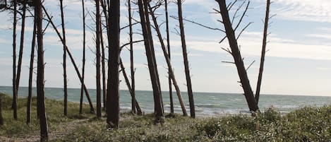 海滩
