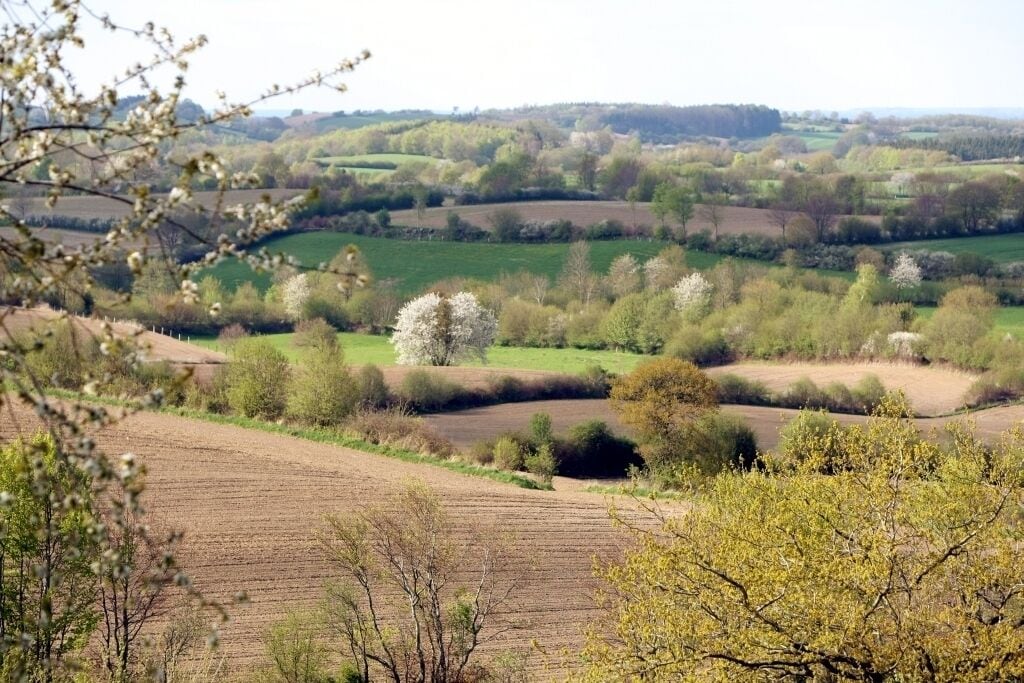 Frühlingslandschaft