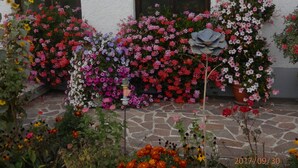 Un jardín con diversas flores y plantas frente a un edificio de paredes blancas y ventanas.