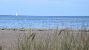 Una playa con arena dorada y un mar tranquilo.