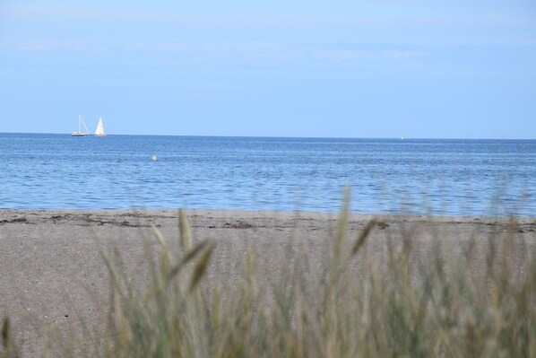 Plage à proximité