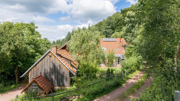 A rustic wooden cabin with a sloped roof, surrounded by lush greenery and a gravel path leading to a larger house with a solar panel roof.