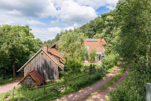 Exterior - Modern 220 sqm holiday home, terrace, garden, sauna, fireplace (Freiamt)