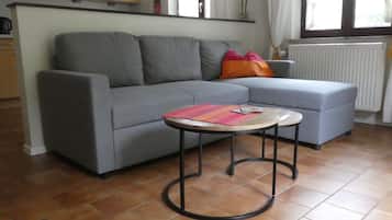 Télévision, lecteur de DVD, table de tennis de table, vidéothèque