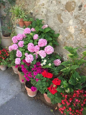 Dettaglio esterni