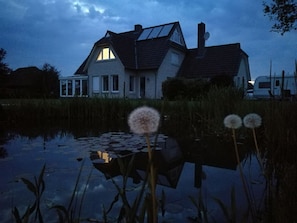 A house with a sloped roof and a visible chimney, surrounded by a pond with dandelions and reeds.