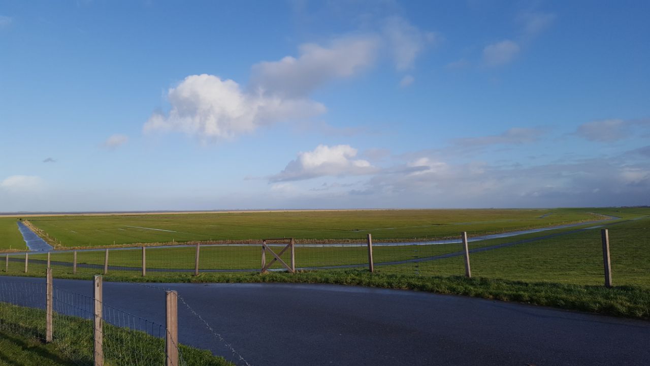 A rural landscape with a paved road, green fields, and a clear sky.