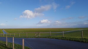Sportveld