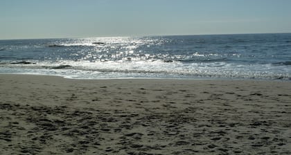 Strandnahes, gemütliches Privatferienhaus, umgeben von Tulpenfeldern