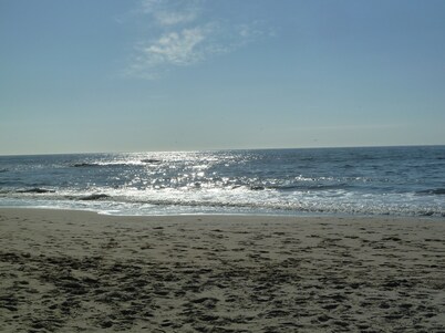 Cerca de la playa, acogedora villa privada, rodeada de campos de tulipanes y campo de golf 