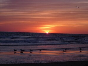 Sillas reclinables de playa