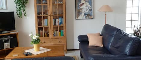 Televisión, reproductor de DVD, libros y estéreo