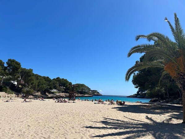 Beach nearby, sun loungers