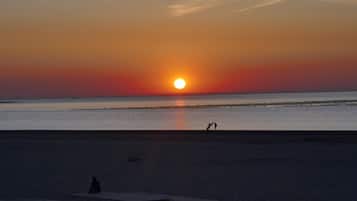 Vlak bij het strand, ligstoelen aan het strand
