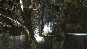 A stone pathway leading to a wooden deck surrounded by trees. - Top holiday home private pool by the sea with private garden for single use (Koroni/Harakopio)