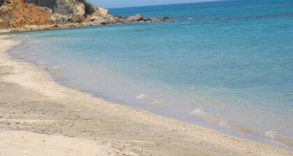 Top holiday home private pool by the sea with private garden for single use