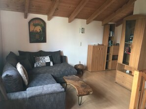 Smart TV, fireplace, DVD player, books