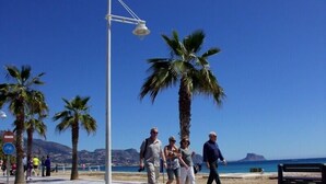 A coastal promenade with palm trees, benches, and people walking.