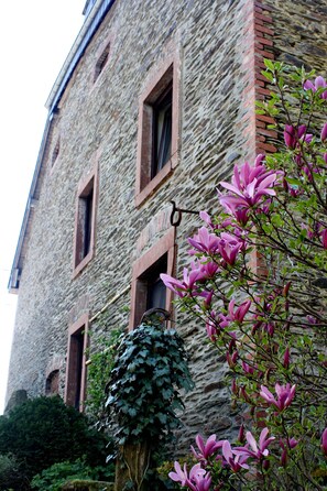 A stone building with multiple windows and a tree with pink flowers in front. - 18th-century farmhouse, 140 m², clean, in the countryside, 1,000 m² garden (Burg-Reuland)