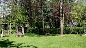Un parque con un césped, un banco de madera y un muro de piedra.