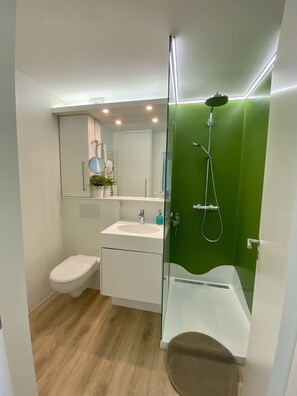 Dusche, Haartrockner, Handtücher, Seife