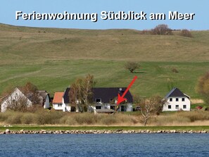 Esterni