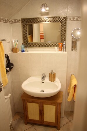 Shower, hair dryer