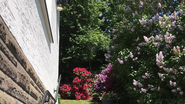 A stone staircase leading to a building with a white exterior, surrounded by lush greenery and flowering plants. - Panorama-FeWo**** BEI WINTERBERG, 2 -10 pers., box-spring beds, WIFI / WLAN  (Schmallenberg)