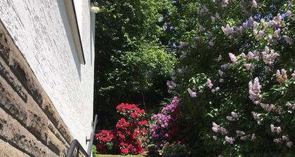 Panorama-FeWo**** BEI WINTERBERG, 2 -10 pers., box-spring beds, WIFI / WLAN