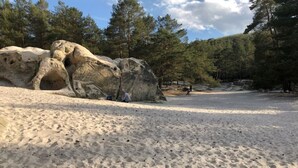 En sandstrand med store sten og et skovområde i baggrunden.