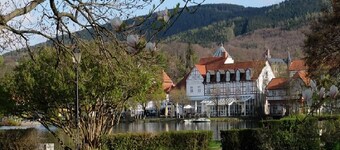 Hundefreundlicher Bungalow im Grünen – Ideal für Paare und Familien