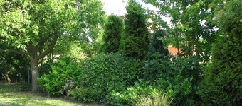 Smagfuldt indrettede - Husum / Nordsøen - 200m fra havet - 2-6 personer