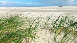 Una platja amb dunes de sorra i vegetació escassa.