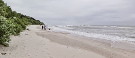 Playa en los alrededores
