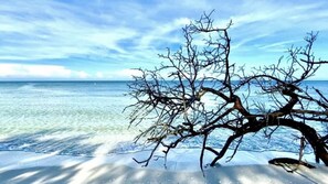 Plage à proximité, chaises longues, serviettes de plage