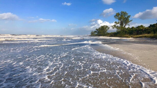 Una playa con olas, cielo despejado y árboles al fondo.