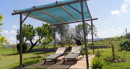 Pure détente sur une finca entre orangers et citronniers
