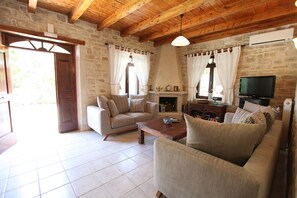 TV, fireplace, DVD player, books