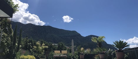 Alberca techada y alberca al aire libre