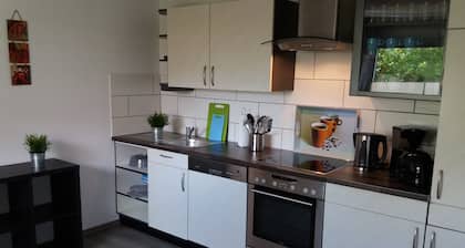 Ferienhaus Oll Tuun Rhauderfehn Leer Ostfriesland 6 Pers. Kamin Infrarotkabine