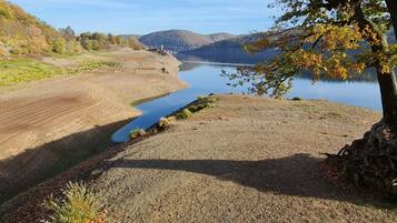 A gravel path leading to a lake with a tree in the foreground.