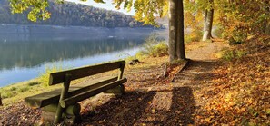 Eine hölzerne Bank am Ufer eines stillen Sees, bedeckt mit Herbstlaub.