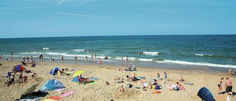 Playa en los alrededores y camastros