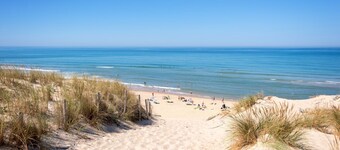 Rest, walk and enjoy the wide beach and in April Tulips!!!